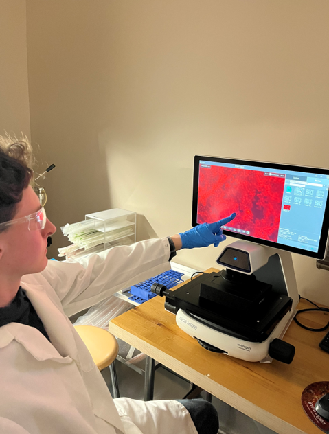 Analyzing results under microscope
