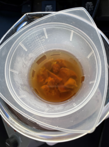 Liver decellularization process
