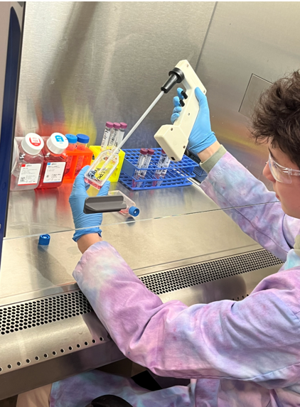 Our team working in the lab